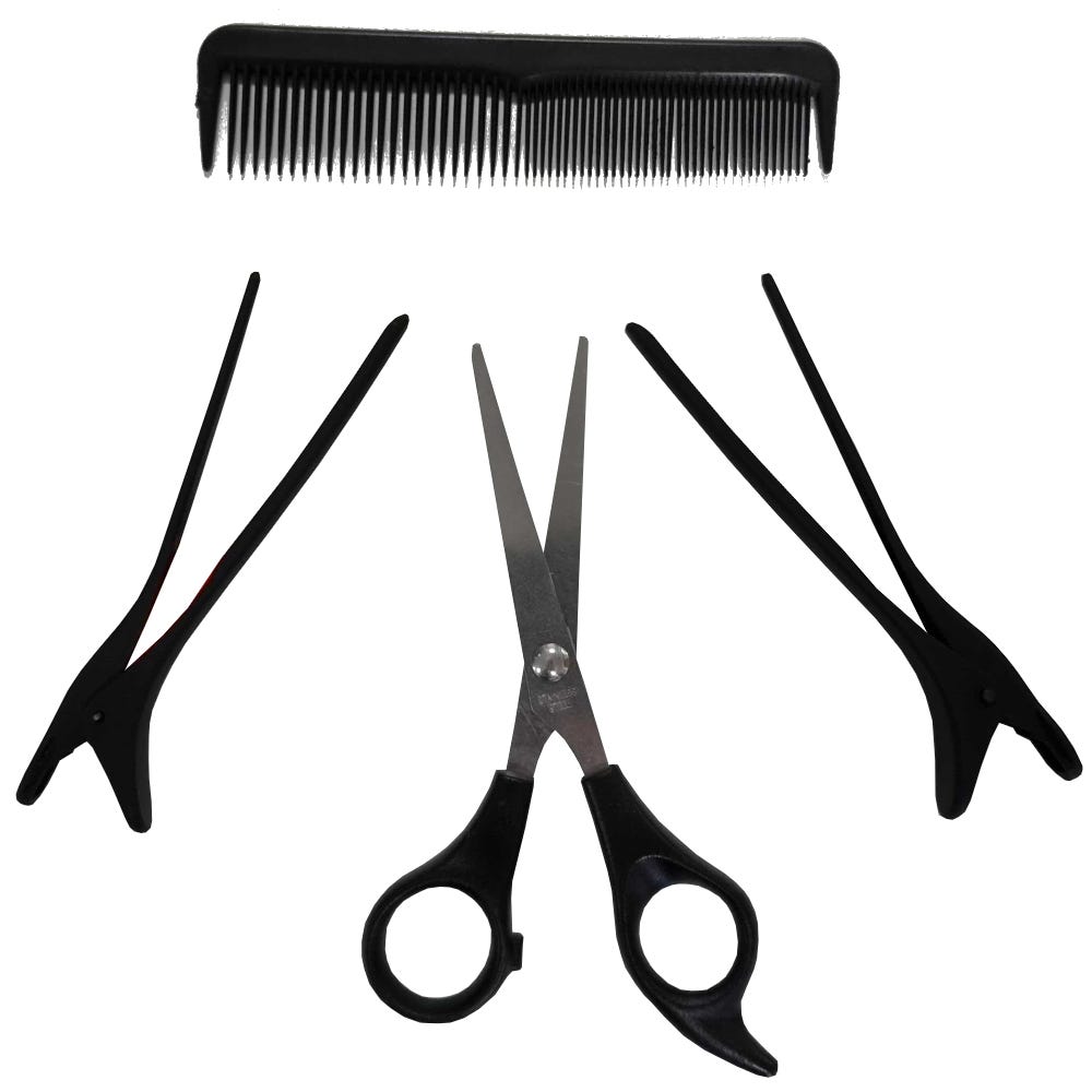 Professional Hair Dressing Kit - Comb, Scissors and Clips